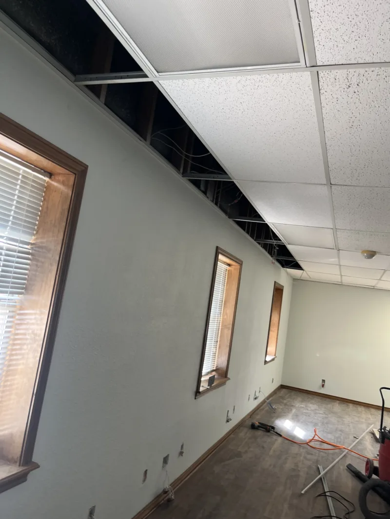 Office room, new windows